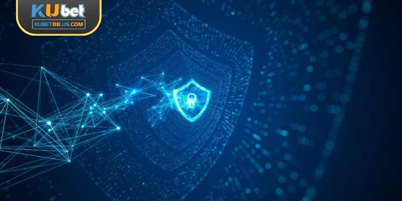 Người chơi nên đảm bảo tuân thủ chính sách nhà cái